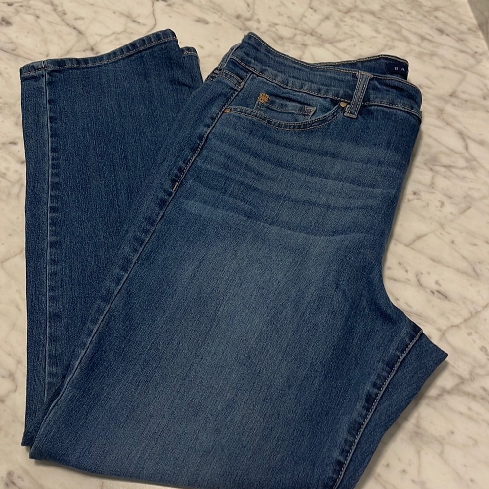 Bandolino Jeans Womens Straight Leg Size 16S